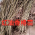 【全国供应】大量有货红油香椿苗提供装车服务可视频