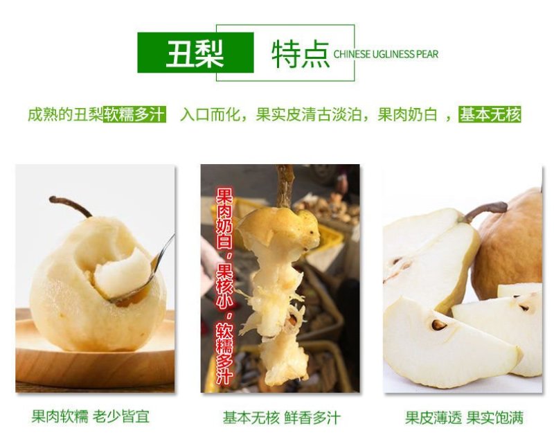 【聚便宜】烟台丑梨3斤5斤包邮非皇冠梨酥当季新鲜水果