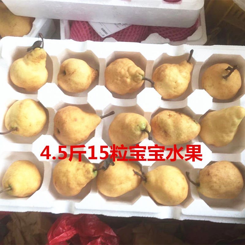 【聚便宜】烟台丑梨3斤5斤包邮非皇冠梨酥当季新鲜水果