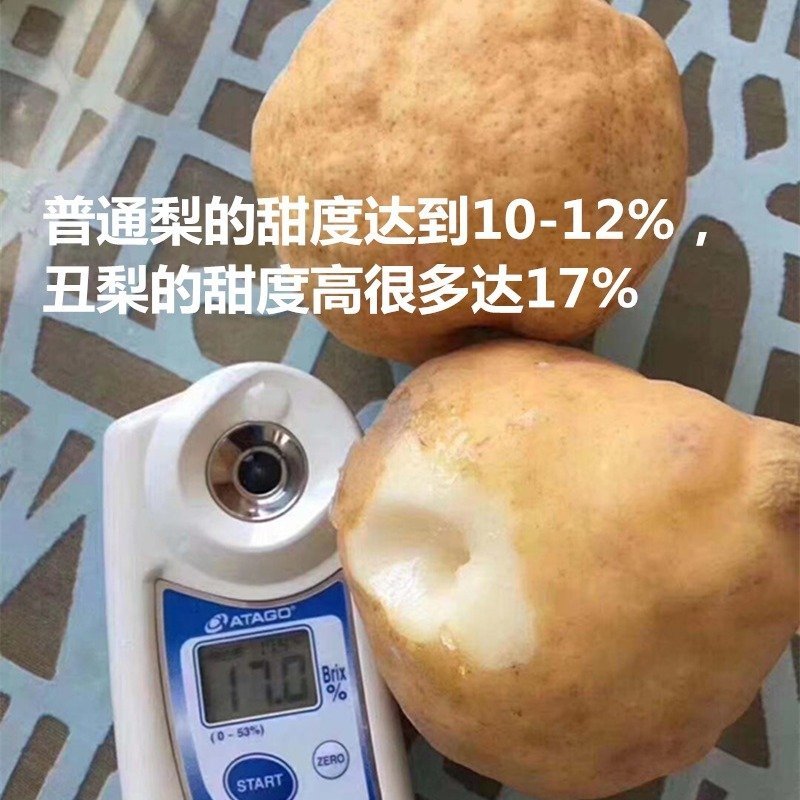 【聚便宜】烟台丑梨3斤5斤包邮非皇冠梨酥当季新鲜水果