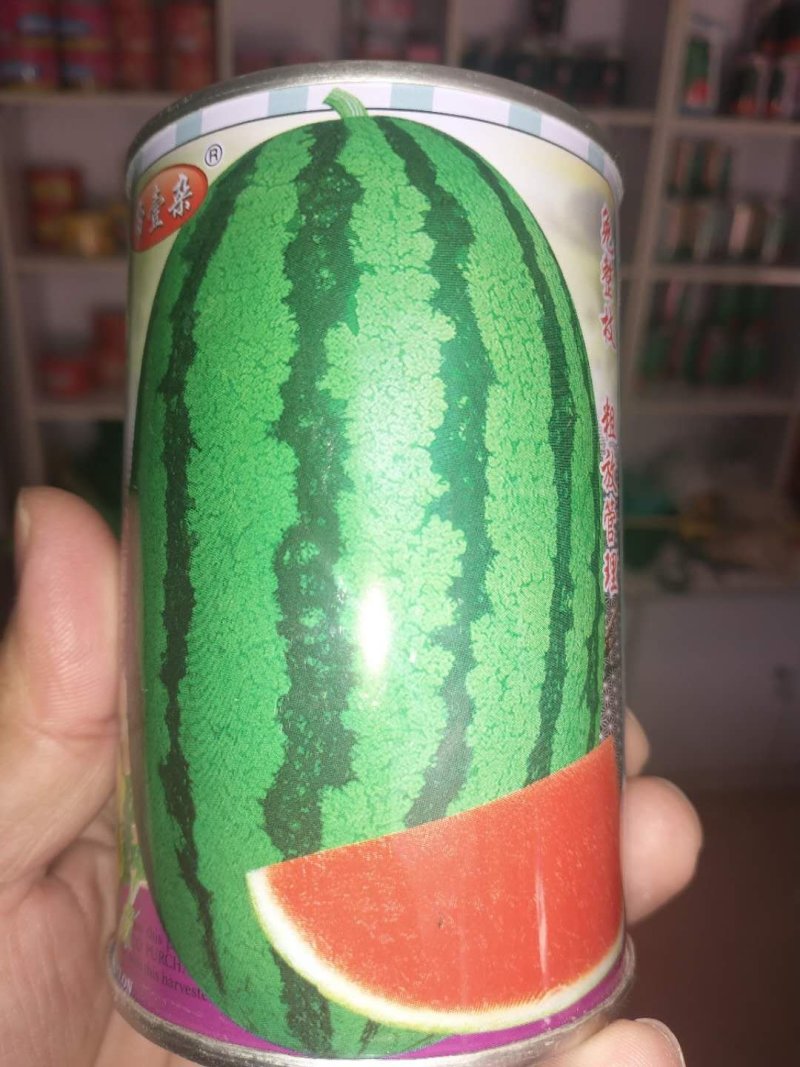 懒汉瓜西瓜种子大漠三号