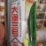 懒汉瓜西瓜种子大漠三号