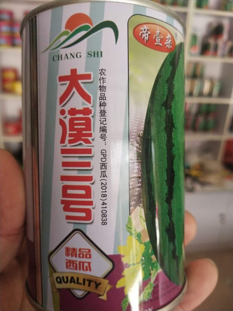 懒汉瓜西瓜种子大漠三号