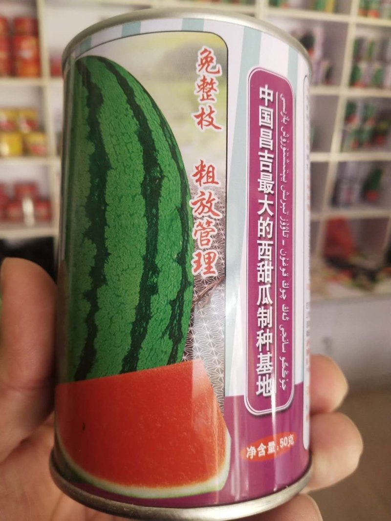 懒汉瓜西瓜种子大漠三号