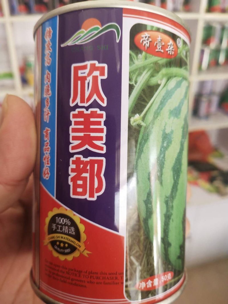 美都西瓜种子纯手工精选