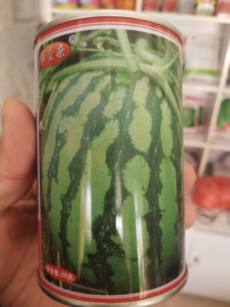 美都西瓜种子纯手工精选