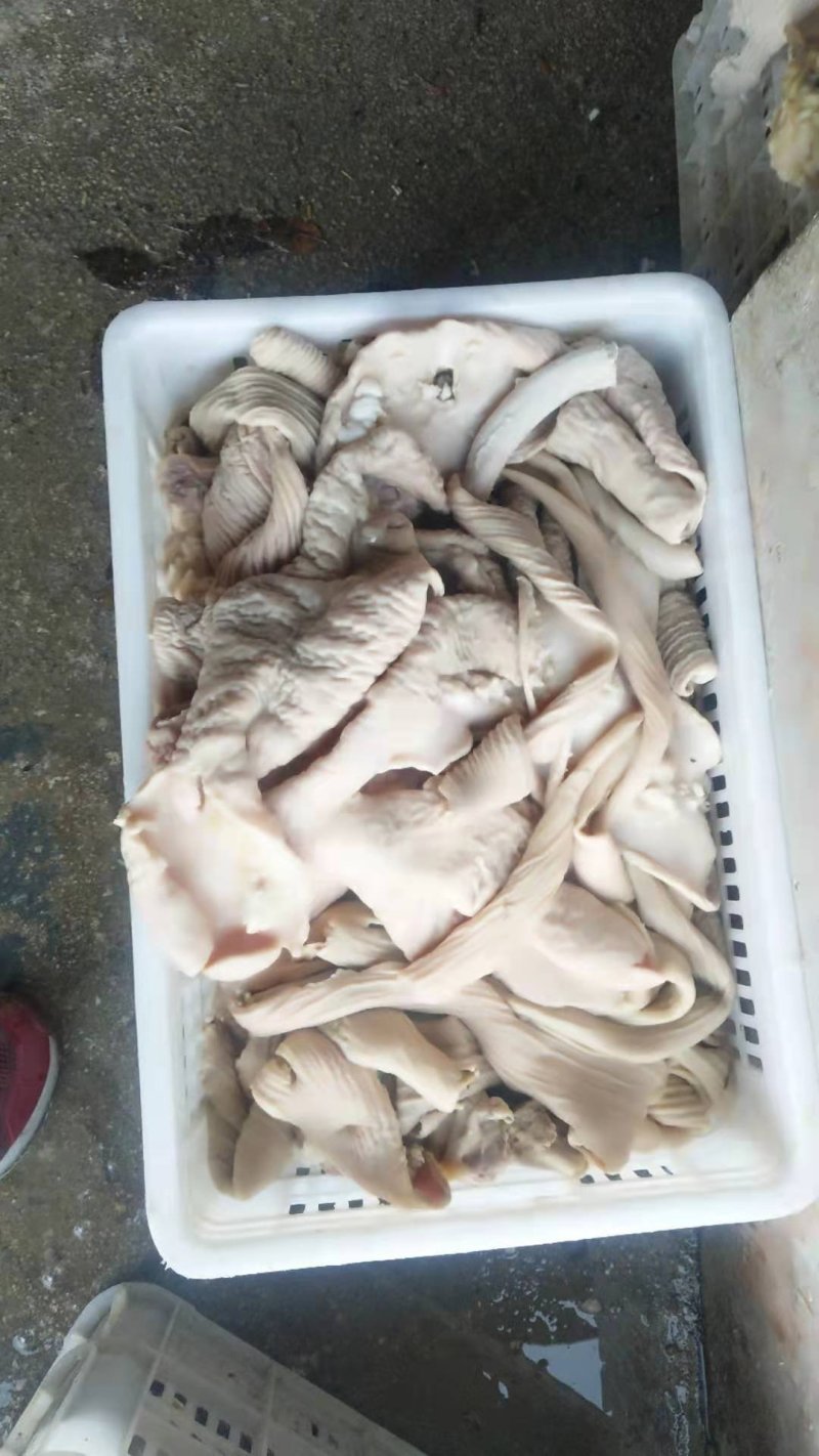 牛小肠牛大肠一手货源厂家直销运费自付质量保证
