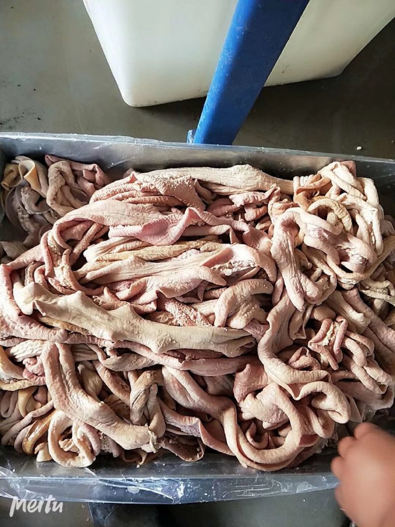 牛小肠牛大肠一手货源厂家直销运费自付质量保证