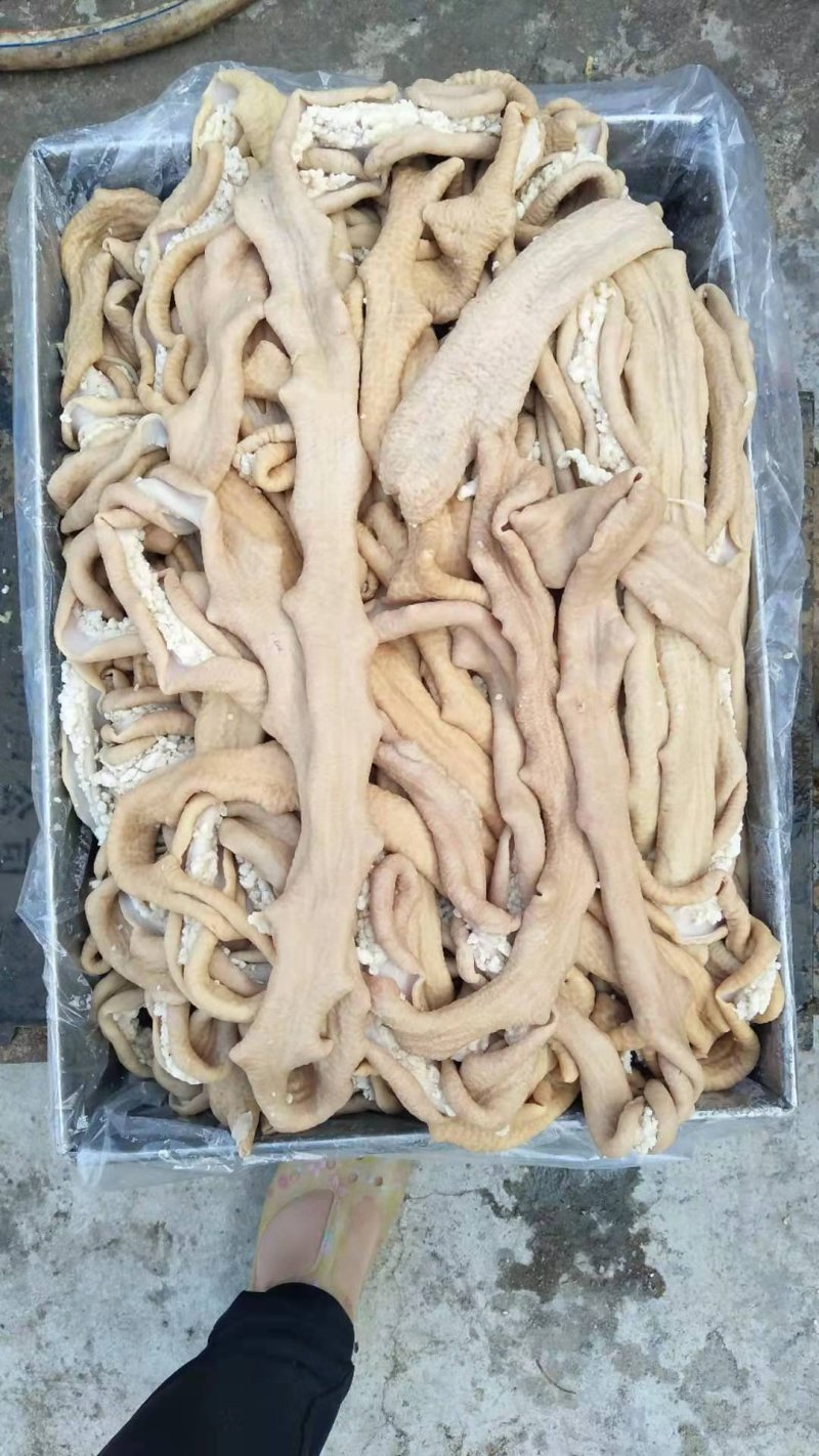 牛小肠牛大肠一手货源厂家直销运费自付质量保证