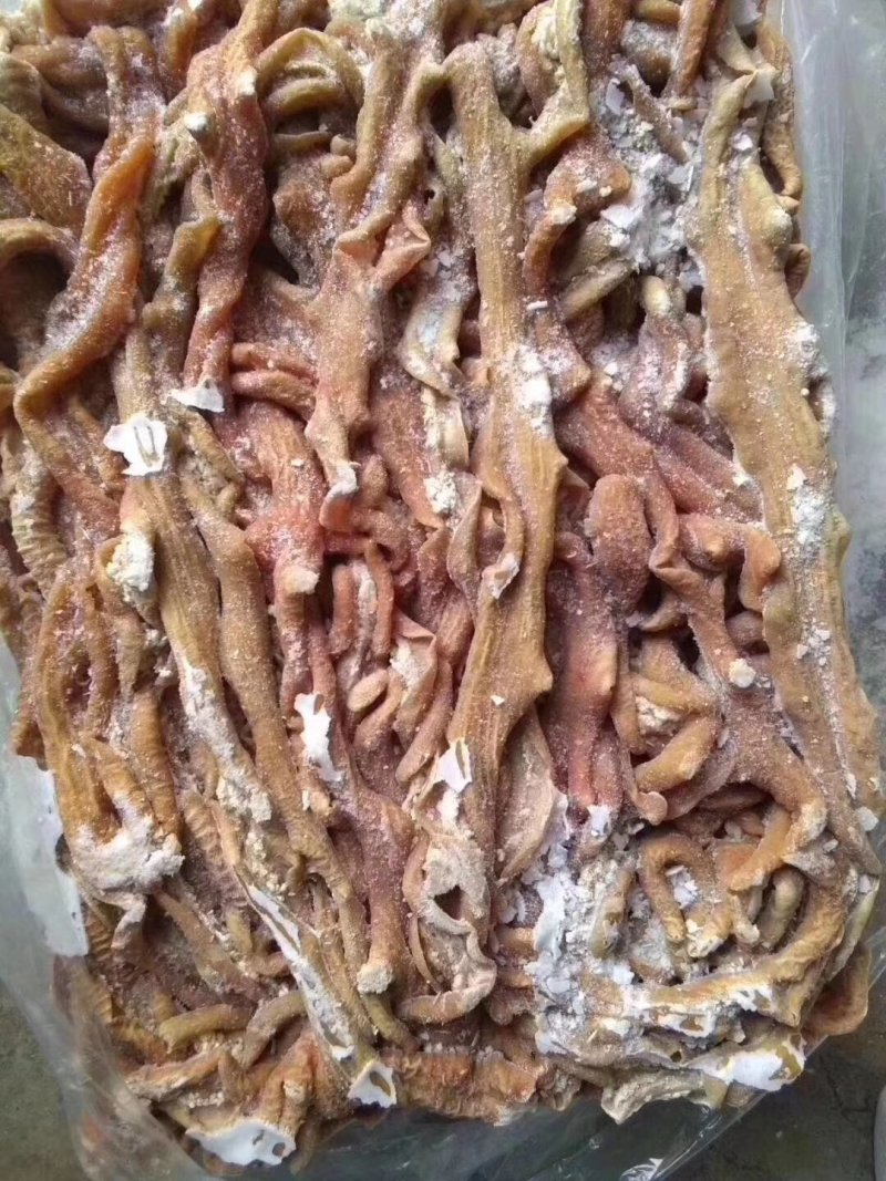 牛小肠牛大肠一手货源厂家直销运费自付质量保证