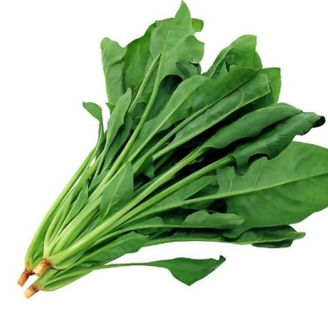 有机菠菜农家自种厚叶菠菜