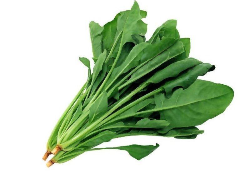 有机菠菜农家自种厚叶菠菜