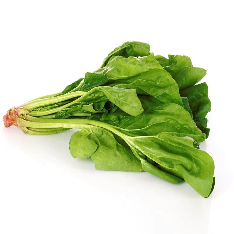 有机菠菜农家自种厚叶菠菜