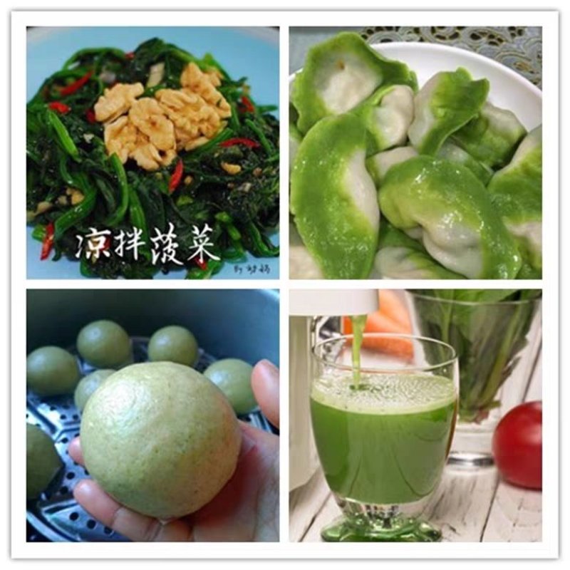 有机菠菜农家自种厚叶菠菜