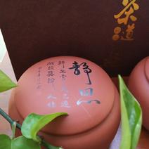 【陈年铁观音茶叶】老铁精制乌龙，紫砂陶瓷罐装