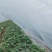 上海南汇玉菇，批发团购电商有保供资料