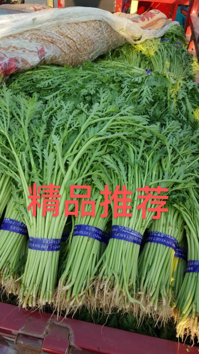 蒿子秆茼蒿蒿子杆大量上市！价格实惠！