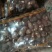 【荐】芋头种子8520豆包货源充足口感香糯全国发货