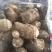 【荐】芋头种子8520豆包货源充足口感香糯全国发货