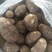 【荐】芋头种子8520豆包货源充足口感香糯全国发货
