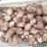 【荐】芋头种子8520豆包货源充足口感香糯全国发货