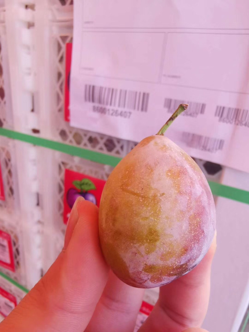 【有好货】李子类甜度较好的一款，智利西梅