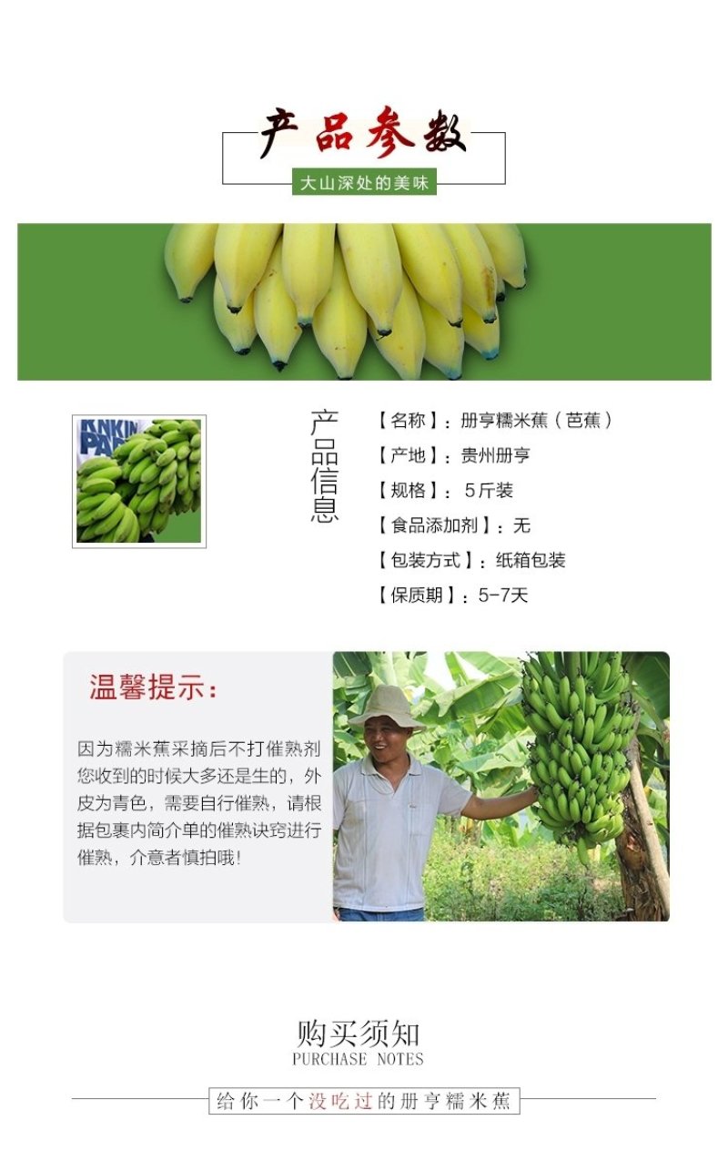 贵州糯米香蕉支持一件代发西贡蕉香蕉糯米蕉