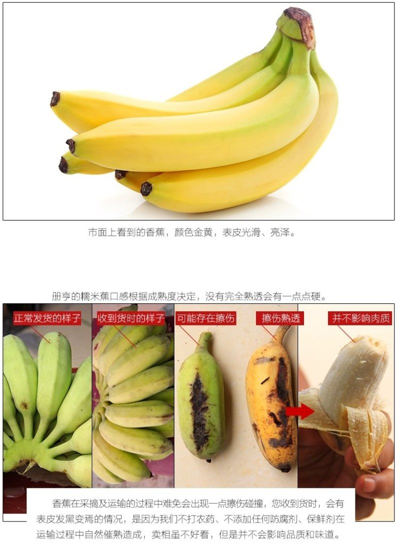 贵州糯米香蕉支持一件代发西贡蕉香蕉糯米蕉