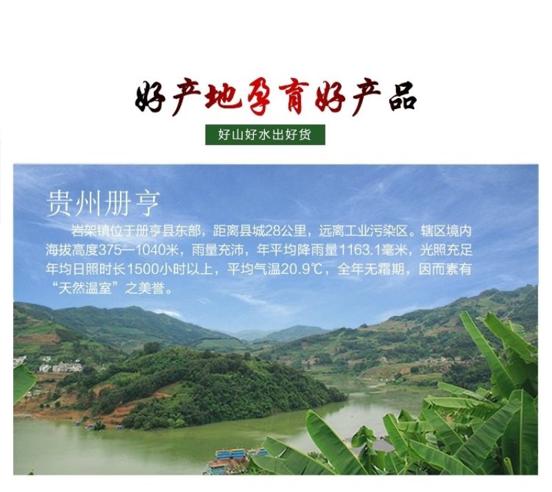 贵州糯米香蕉支持一件代发西贡蕉香蕉糯米蕉