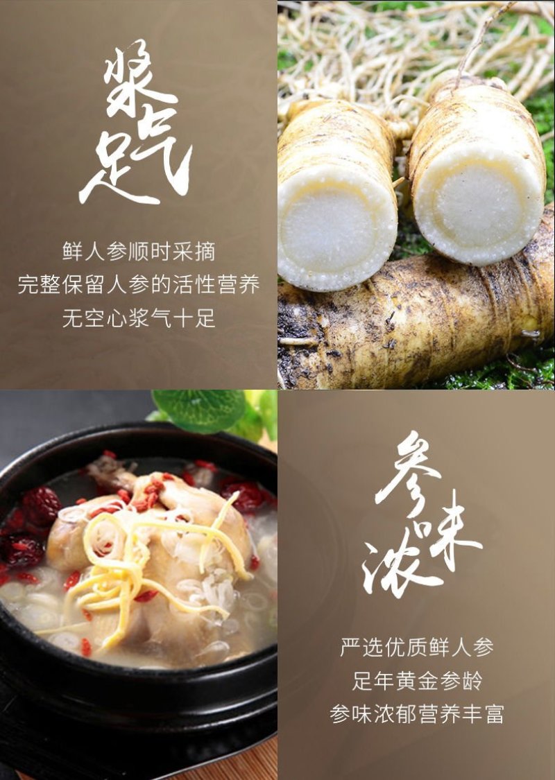 长白山新鲜人参现挖现卖5～6年根长白山鲜参带土鲜参包邮