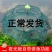 虾笼自动捕鱼网折叠渔网甲鱼螃蟹黄鳝泥鳅龙虾网伞笼渔具捕鱼