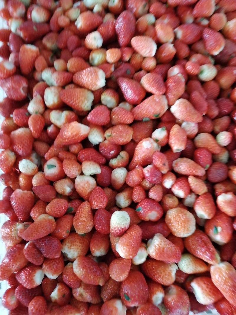 冷冻草莓榨果汁酿酒做果酱食品原材料全年供应