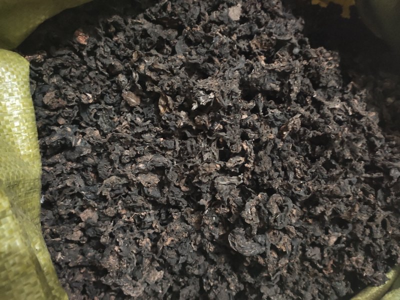 野生地皮菜人工筛选挑选无渣无杂