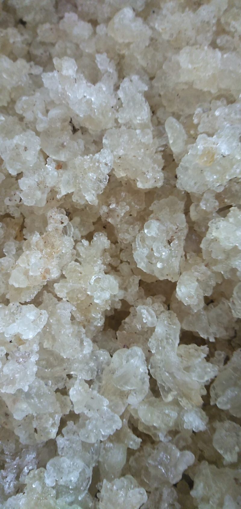 天然雪燕拉丝好，颜色干净产地直销大货供应，品质好。