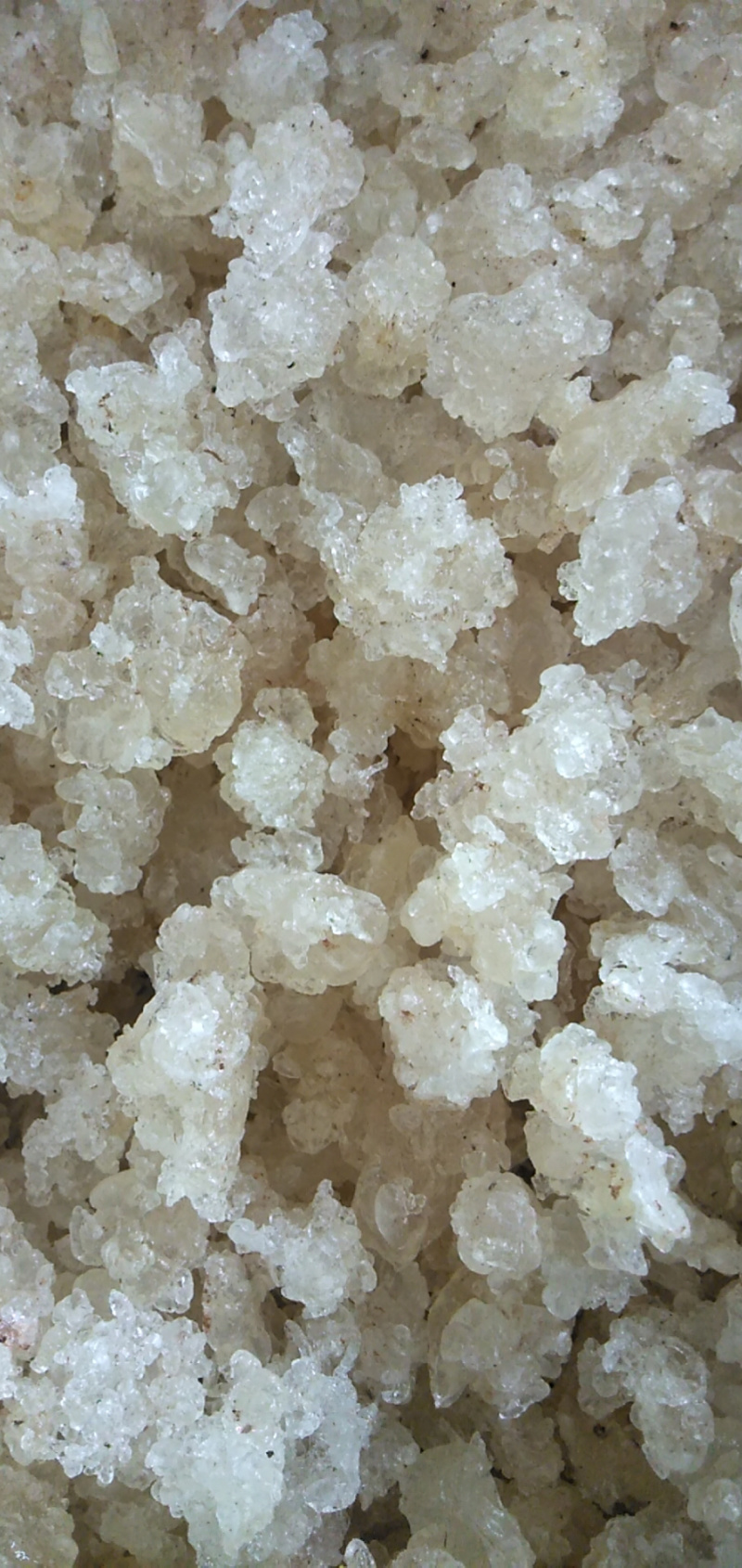 天然雪燕拉丝好，颜色干净产地直销大货供应，品质好。