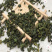 桑叶茶桑叶颗粒茶饮霜打桑叶新茶可代打粉