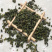 桑叶茶桑叶颗粒茶饮霜打桑叶新茶可代打粉