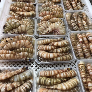 去头斑节虾干净卫生。