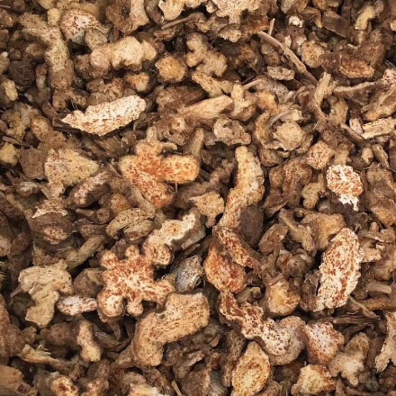 苍术包含量苍术内蒙古朱砂点苍术生苍术炒苍术可代打粉