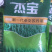 杰宝新一代杂交苏丹草种子进口牧草种子高产喜温抗旱