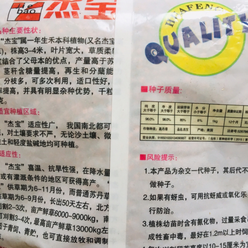 杰宝新一代杂交苏丹草种子进口牧草种子高产喜温抗旱