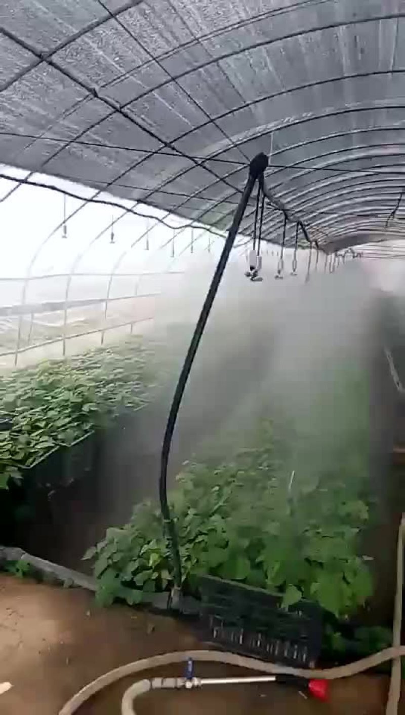 吊挂微喷，大棚微喷温室大棚喷灌，微喷头大棚降温，蘑菇喷灌