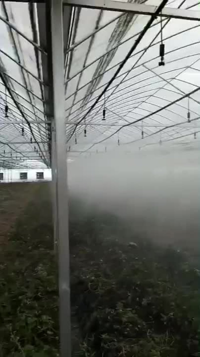 吊挂微喷，大棚微喷温室大棚喷灌，微喷头大棚降温，蘑菇喷灌
