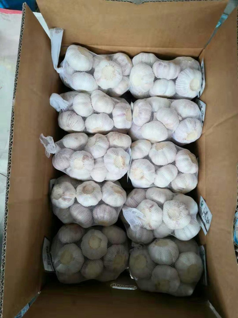 大蒜干蒜一件代发【2斤装】偏远地方不包邮