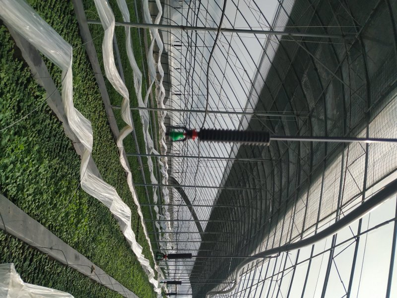 吊挂微喷，大棚微喷温室大棚喷灌，微喷头大棚降温，蘑菇喷灌