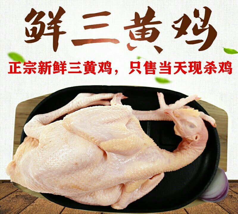 三黄鸡农家散养土鸡三黄鸡营养滋补美味29元1只包邮