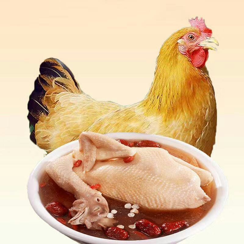 三黄鸡农家散养土鸡三黄鸡营养滋补美味29元1只包邮