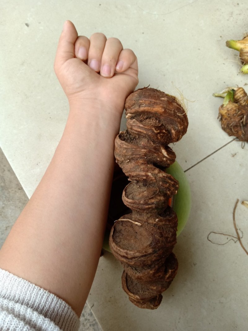 七叶一枝花干货、无硫磺