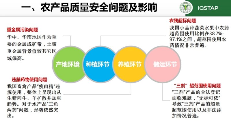 【黄马褂高丽参】黄马褂高丽参压块精品无糖包邮