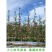 红富士苹果树苗，矮化嫁接苹果树苗！包邮到家！